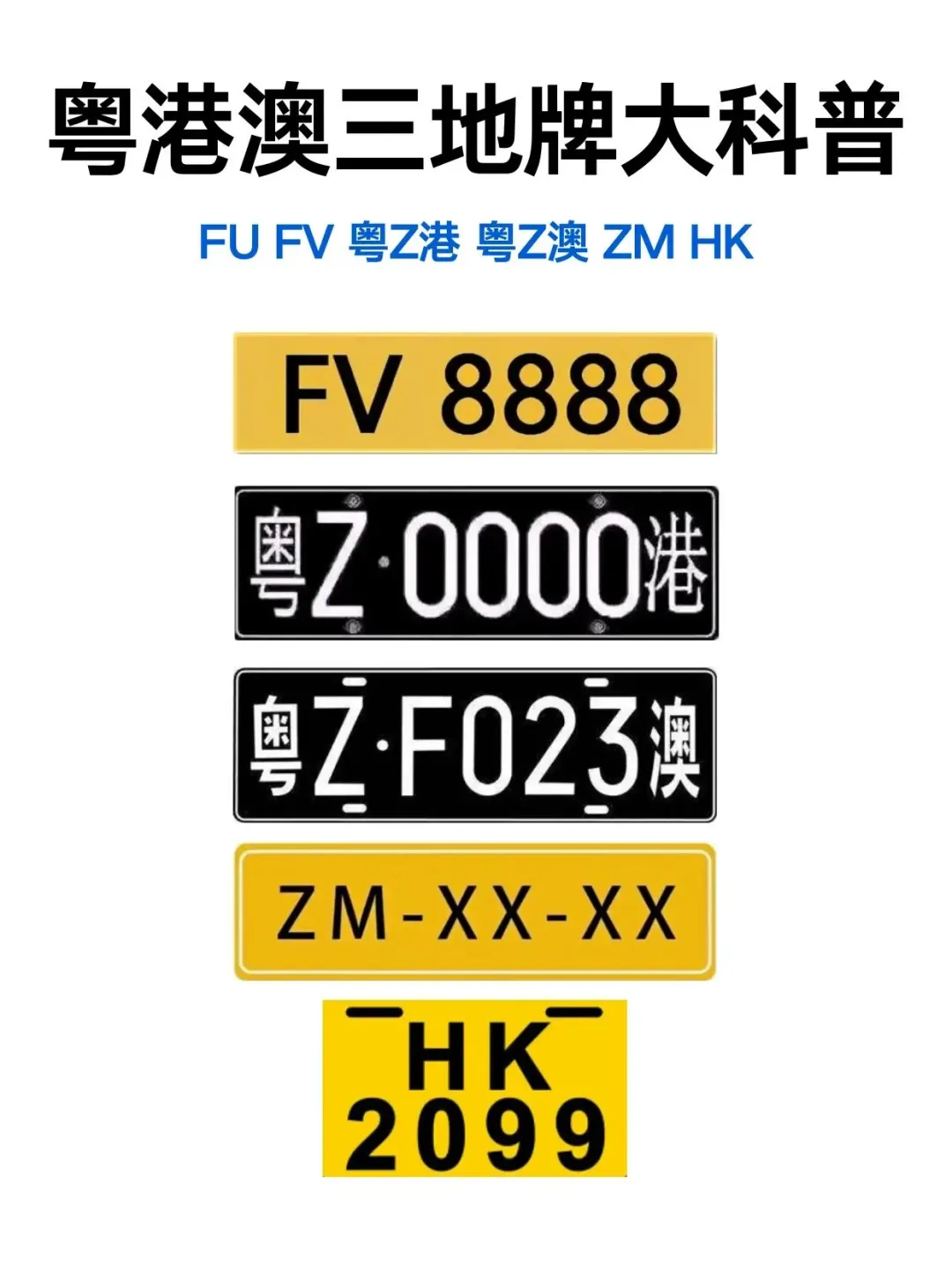 粤港两地车牌（FV和粤Z）是粤港澳大湾区融合的独特标识